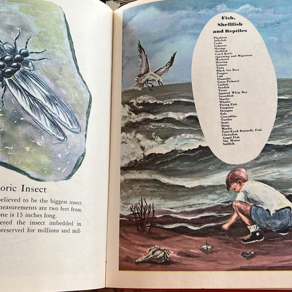 Vintage The Wonders of Nature Hardcover Book 1974 Coffee Table Book oversized - Picture 10 of 16